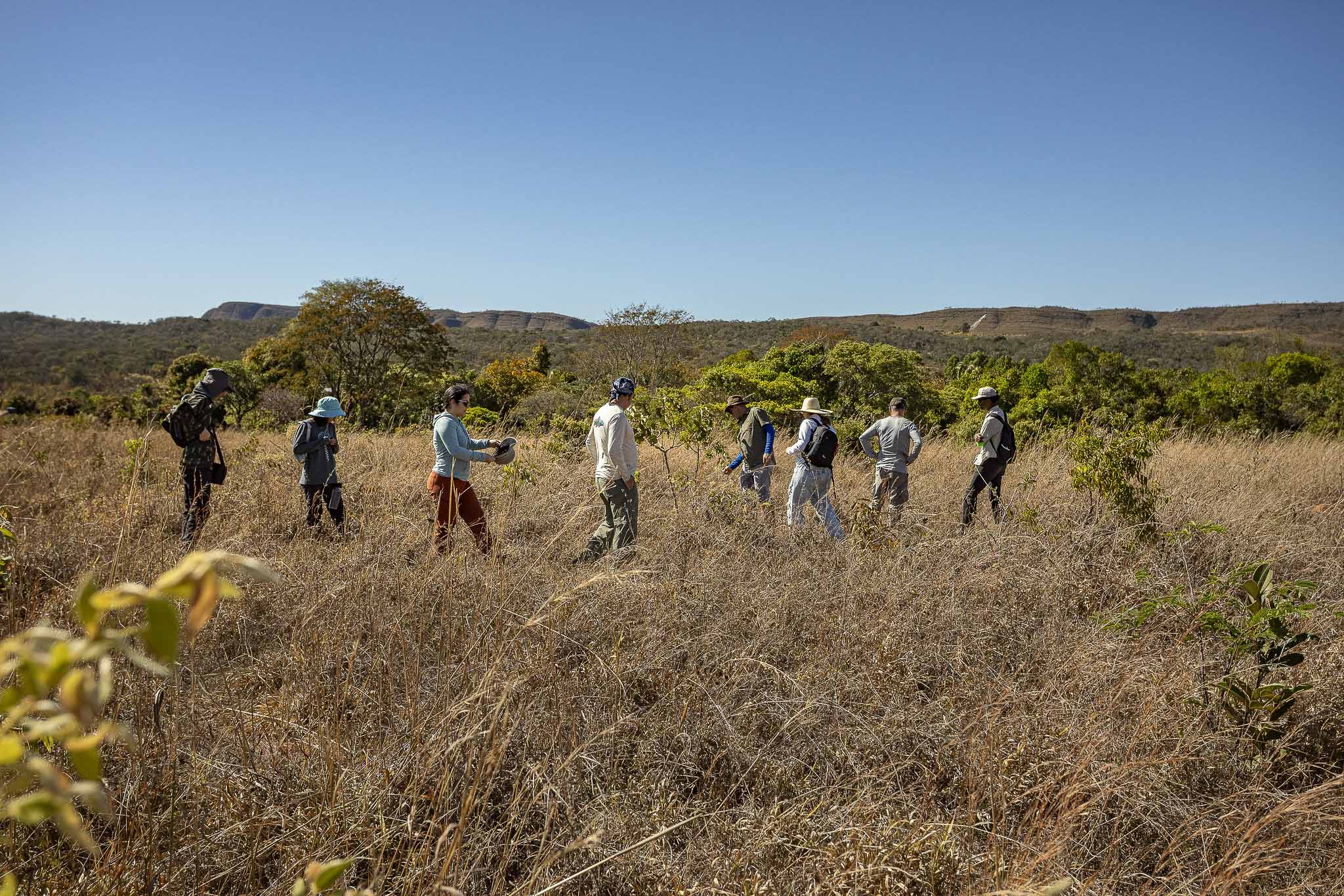 Imagem Restauração Ecológica PA4--30 da expedição de expedicoes/restauracao_25